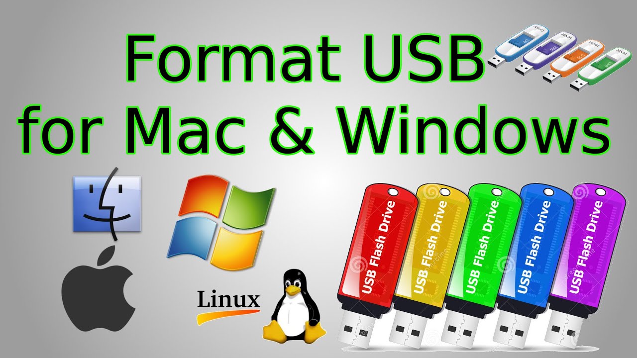 flash disk format for mac and windows